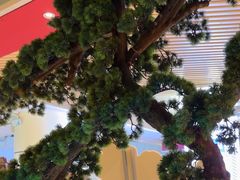 -蛙小侠(亚欧商厦店)