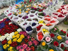 -双季花艺园艺市场(浦东店)