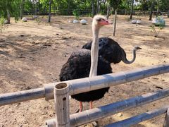 -大连森林动物园