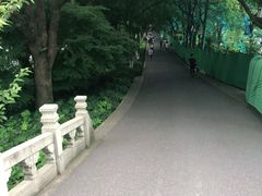 -苏堤停车场