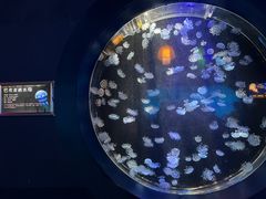 -太平洋海底世界