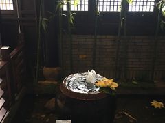 -阮氏酒家(柯桥店)