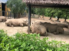 -西安秦岭野生动物园