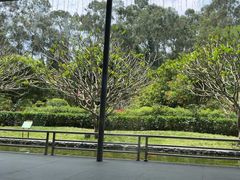 -南宁荔园维景国际酒店·荔园中餐厅