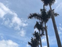 -丹东丛炟海鲜烧烤(江艺路店)