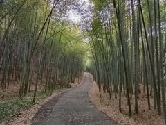 -苏州环秀晓筑养生度假村
