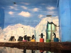 -大连森林动物园