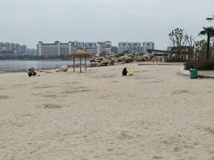 -九龙湖公园
