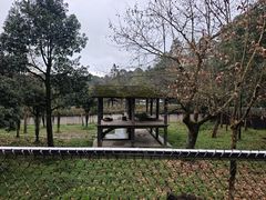 -中国大熊猫保护研究中心雅安碧峰峡基地