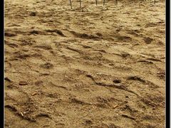 -松声马术俱乐部