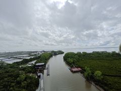 -东寨港红树林旅游区