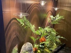 -江南足纪·影院足道·轻奢SPA(红山6979店)