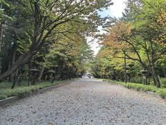 -北海道神宫