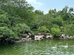 -广州海洋馆