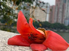 -沙面人才休闲岛