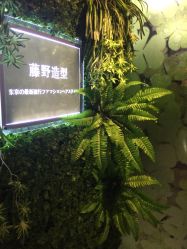 -藤野造型·专业烫染店