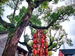 -慈城古县城景区