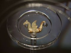 -鸿山遗址博物馆