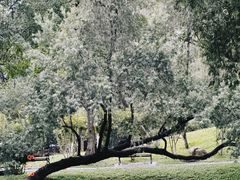 -人民公园(罗湖区)