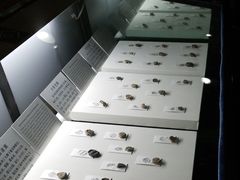 -古陶文明博物馆