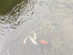 -宁波五龙潭景区