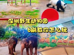 -深圳野生动物园