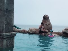 -渔岛海洋度假区