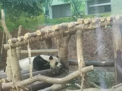-黔灵山公园