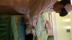 -生命加•Q考拉月子会所(玫瑰园店)