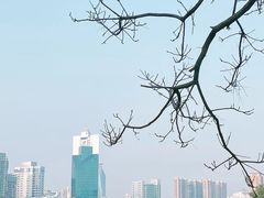 -白鹭洲公园