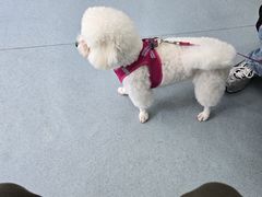 -佳怡动物医院·平价24小时·猫专科骨外科