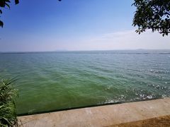 -贡湖湾湿地公园