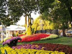 -上海植物园·停车场