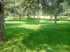 android_upload_pic-景山公园