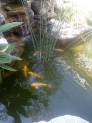 点击看大图 -皇家爱婴高端儿童摄影(苹果园店)