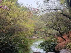 -杭州半山国家森林公园