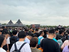 -春花秋色城市公园