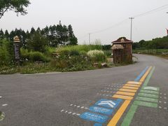 -上海长兴岛郊野公园