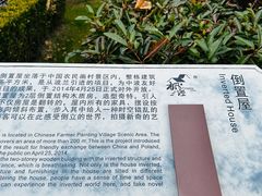 -金山农民画村-枫泾波兰倒置屋