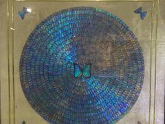 -上海昆虫博物馆