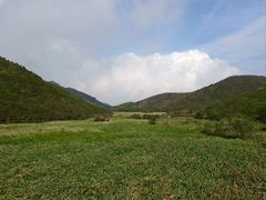 -大围山国家森林公园
