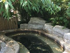 -大连金石滩绿发温泉假日酒店