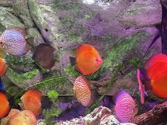 -上海海洋水族馆