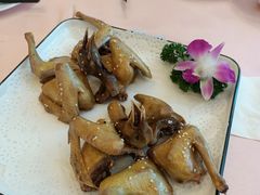 盐焗乳鸽-渔村盛宴(航空新城店)