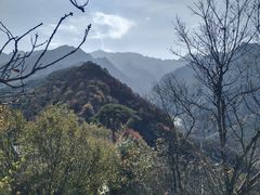 -秦岭终南山世界地质公园翠华山景区