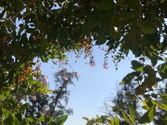 -西涌国际滨海旅游区