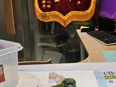 -雨林宠物医院 非犬猫异宠专科