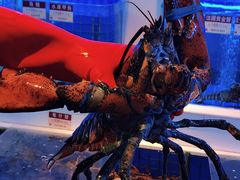 -金苑海鲜酒家(来魅力店)