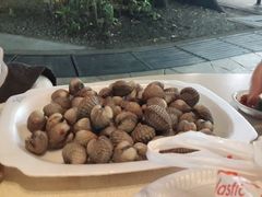 -纽顿熟食中心