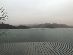 -望湖烤鱼